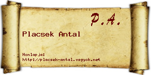 Placsek Antal névjegykártya